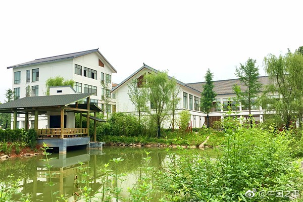 中国;春—来早盘涨超5% 董事会主席捐赠AI及区块链技术