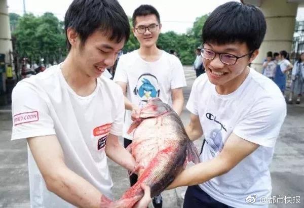 10月21—日盈新;发展发布公告，股东减持3935.88万股