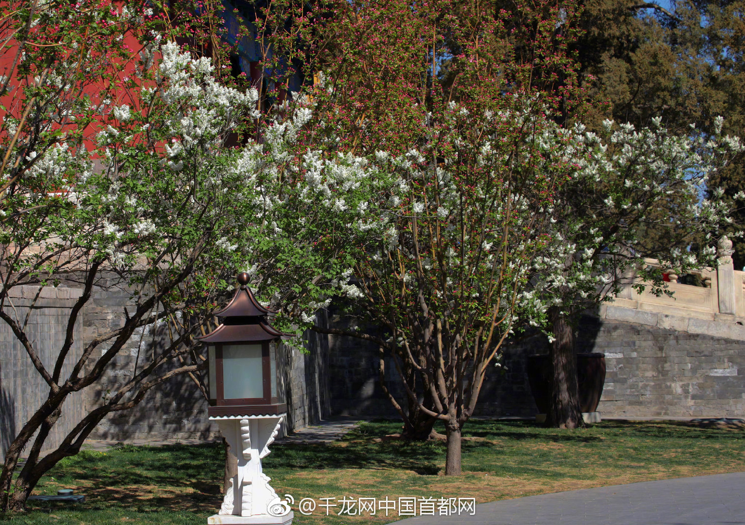 亚!马逊计划20‘2’7年前在比利时投资11.6亿美元