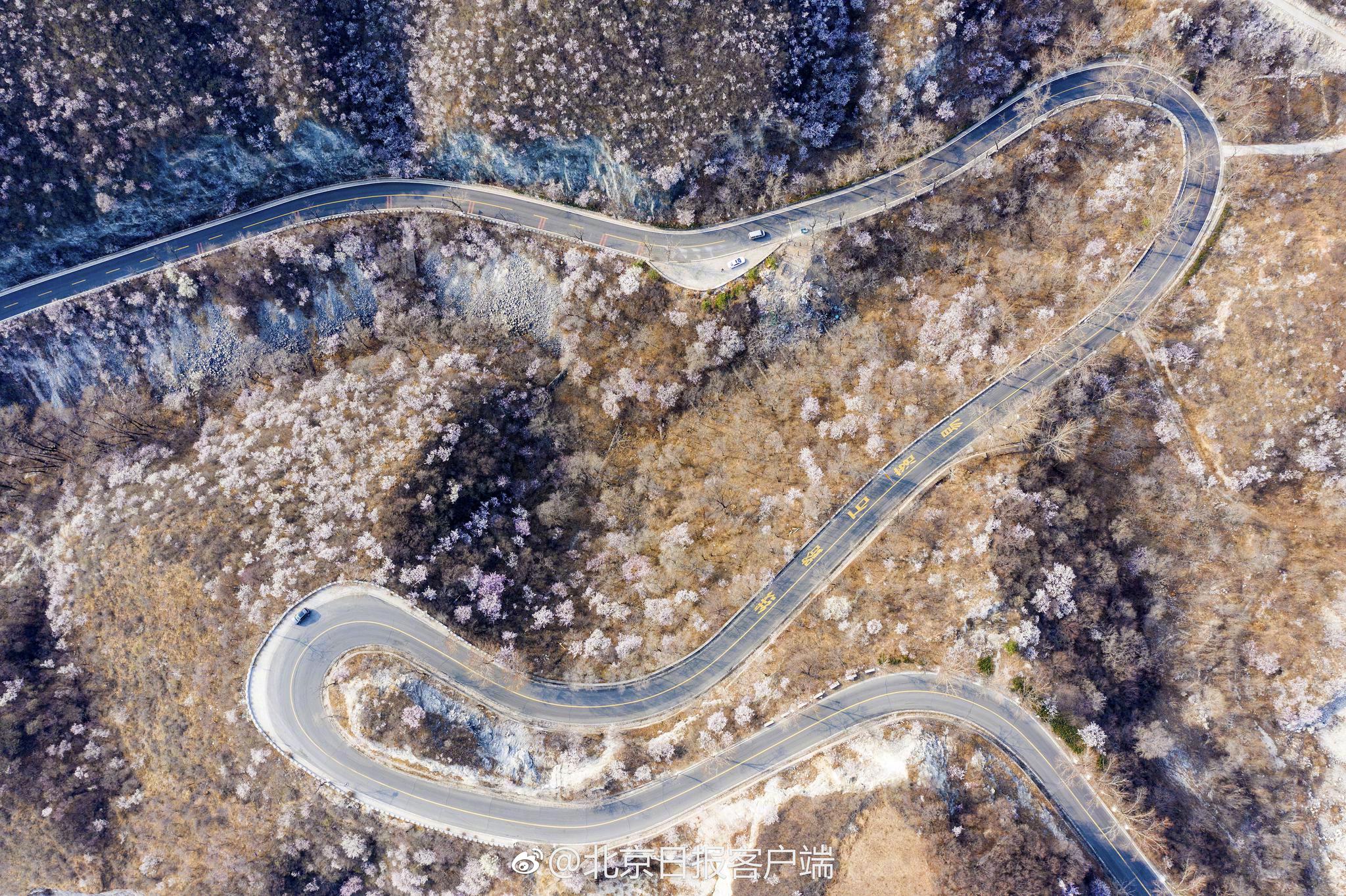 翔丰华：2025年半年度净利润约-295万元