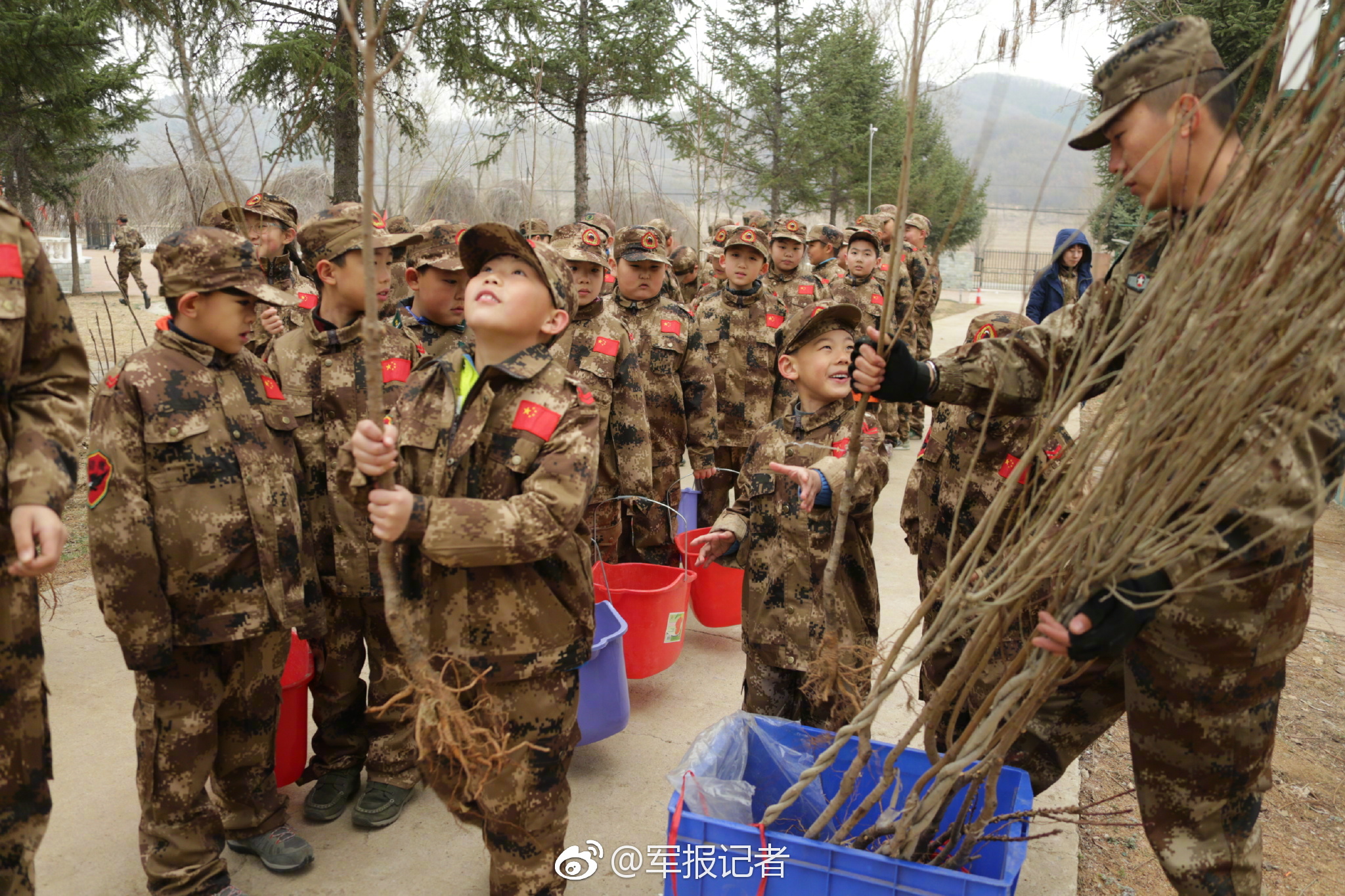 汾,酒.2025上半年业绩解读：稳增态势延续 高质量发展步履铿锵