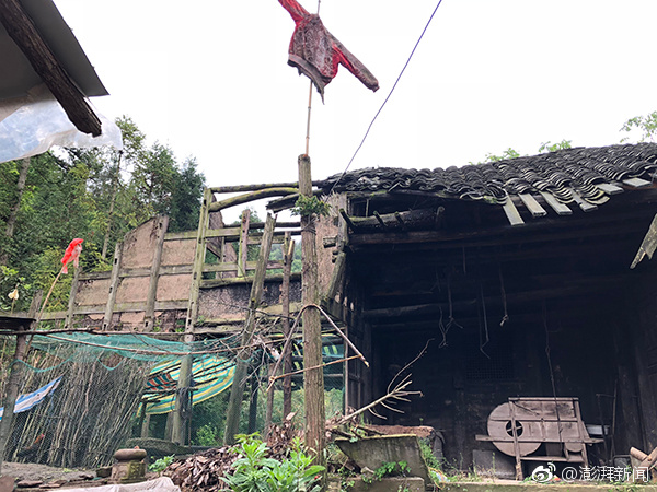 动力.电池回收板块活跃 湖南裕能上涨10.86%