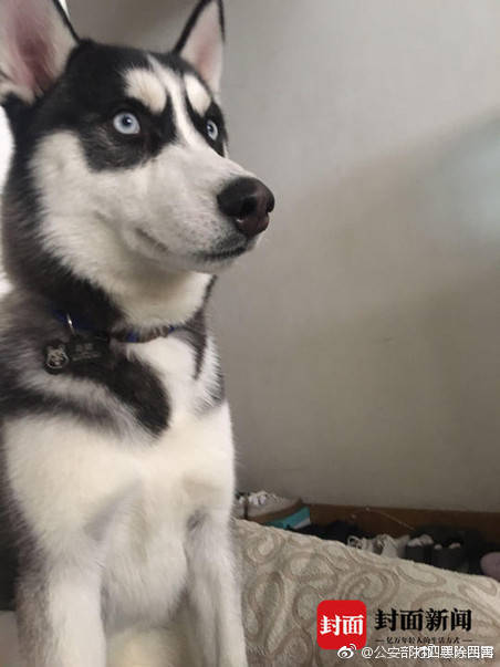 东吴证券：?维持锅圈“买入”评级 公司业绩持续超预期 具备安全边际