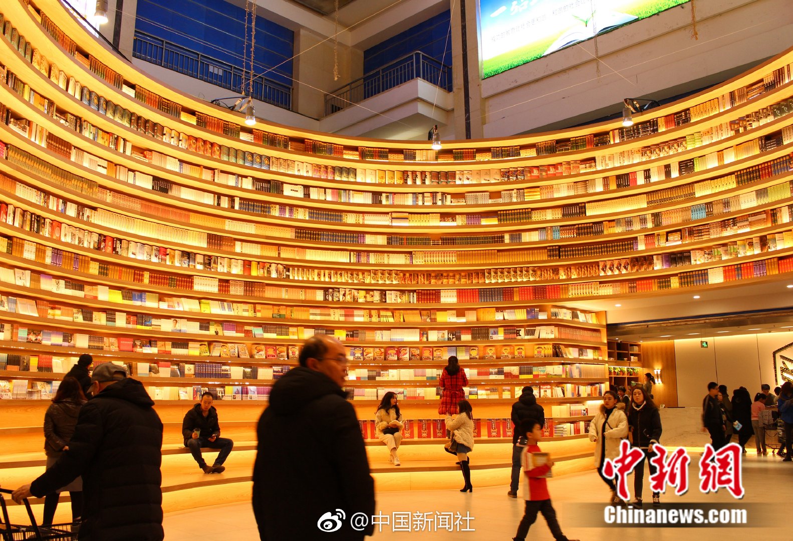 招:股书?精读-华新精科（专注于精密冲压领域产品）