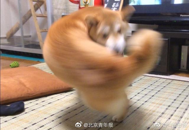 固态电池产业向好趋势明显 主题基金水涨船高