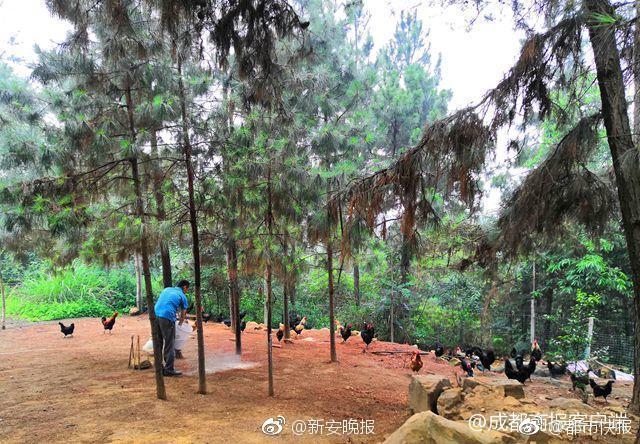 全年利?润;竟有六成是假的！高校第一股明日停牌，后日“ST”