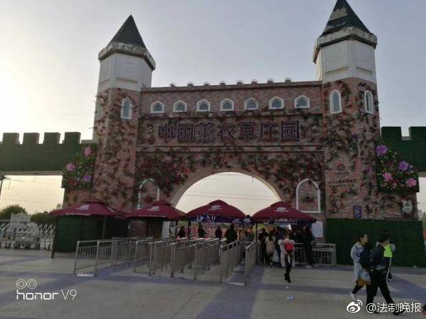 美力—科技：截至2025年6月30日股东总户数为30539户