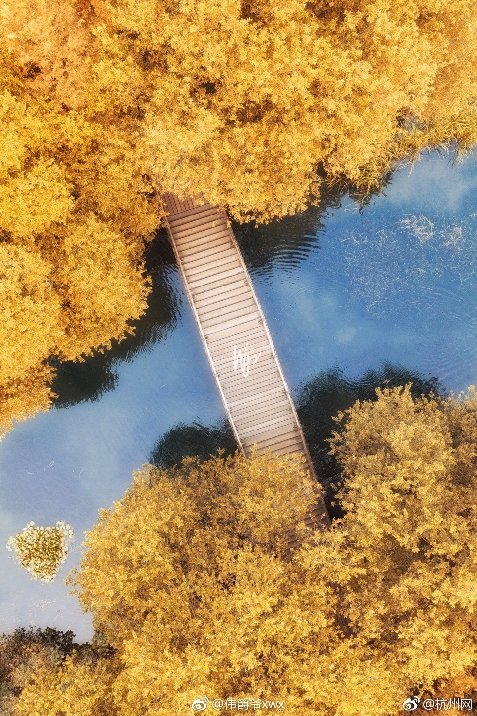 亚特兰大联—储行长称担忧通胀风险 呼吁保持警惕