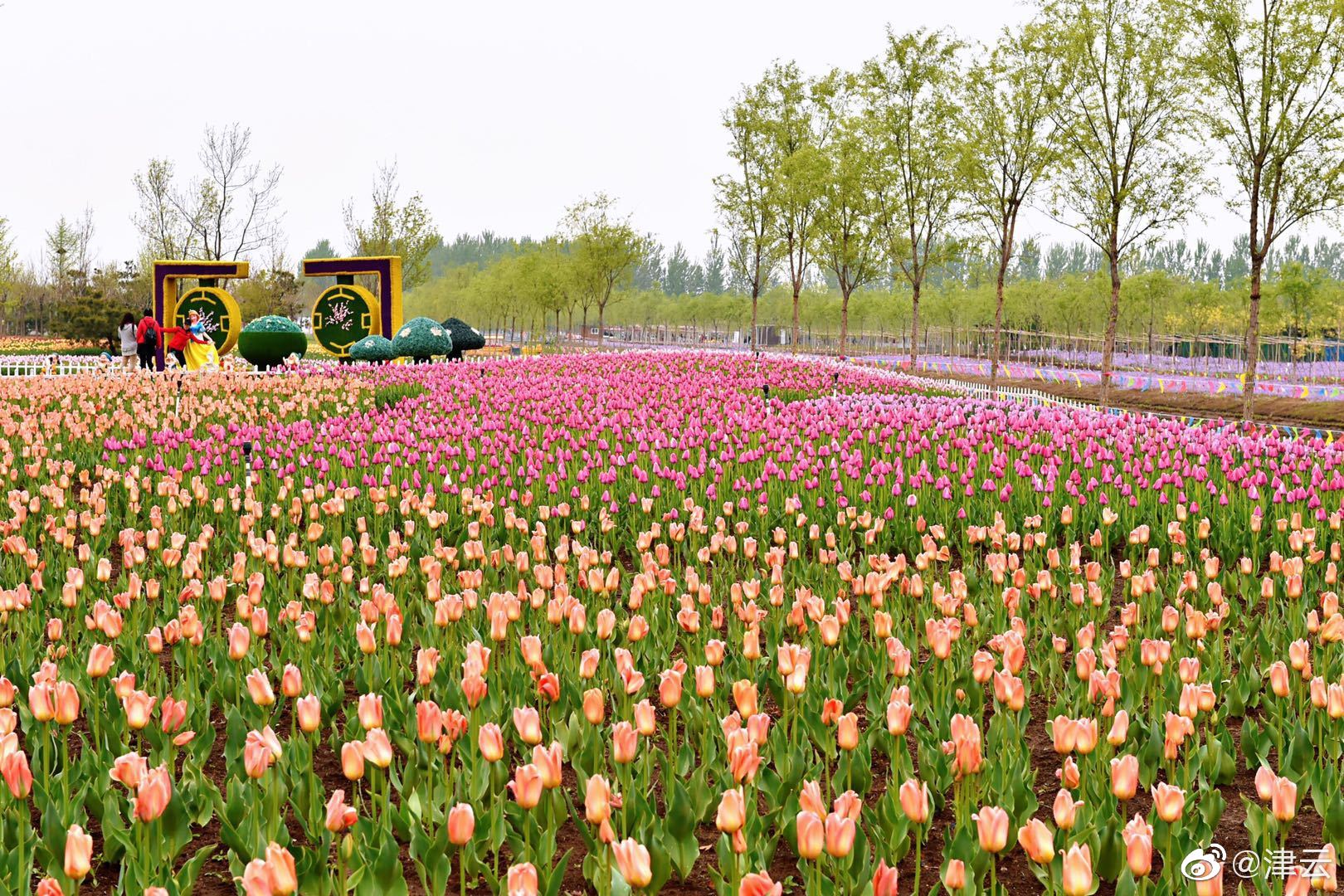 海马汽车：业!务不涉<及>数据跨境流转服务