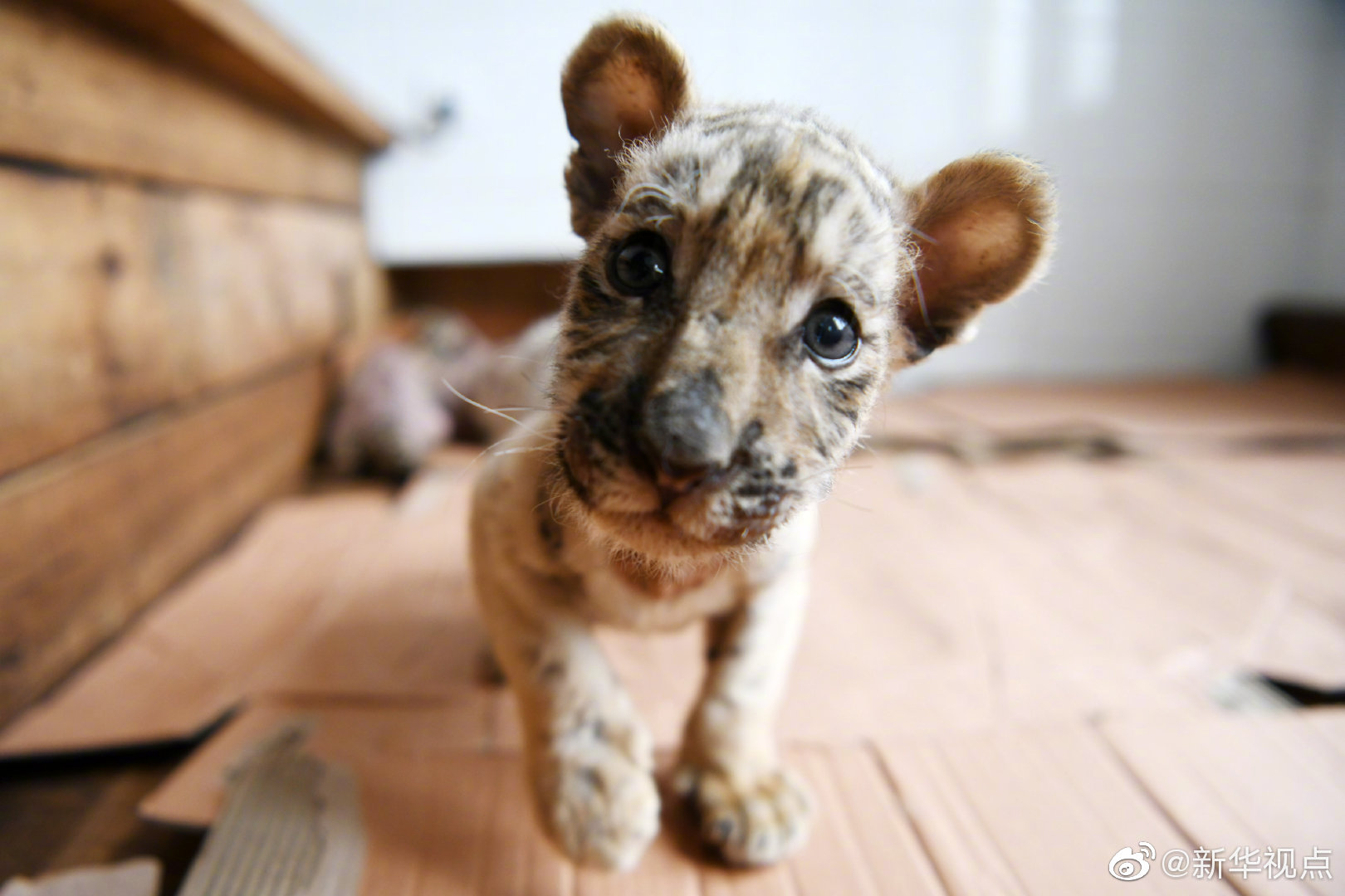 奥特佳10月14日大宗交易成交5600.00万元