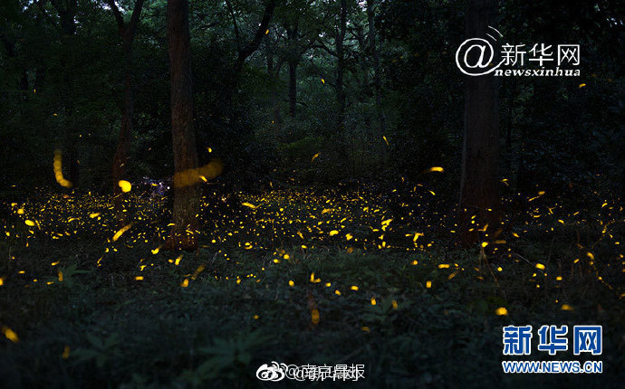 社保;基金持仓动向：二季度新进10股