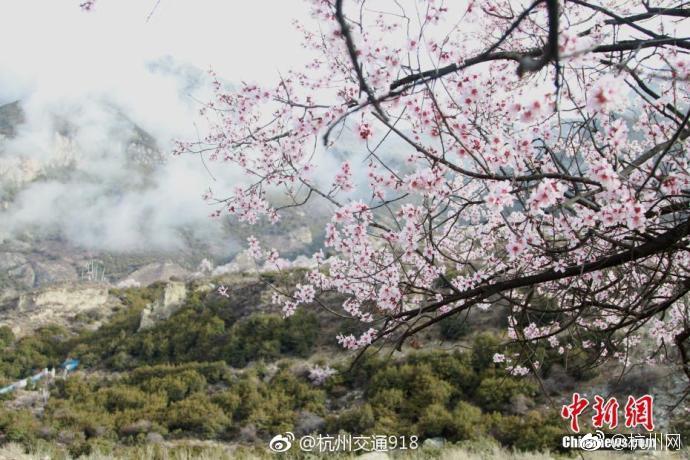 山?东‘省’：支持符合条件的城市更新项目争取中央预算内投资、地方政府专项债券和超长期特别国债等资金