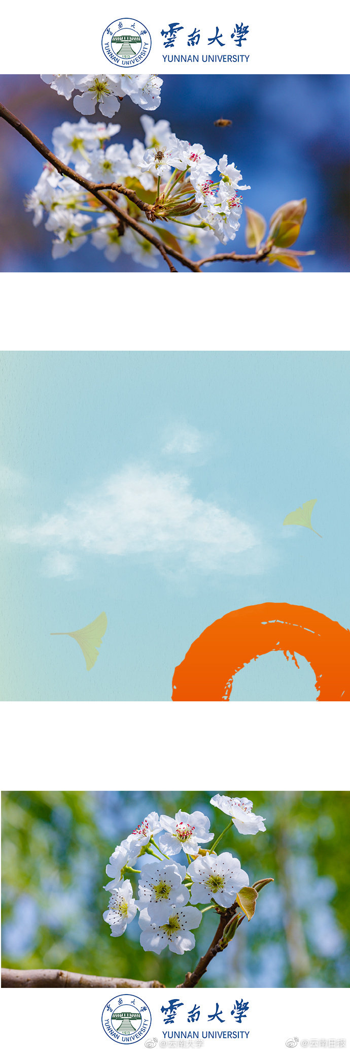 全球最大,、国内:首艘！纯电动海船迎来首航倒计时