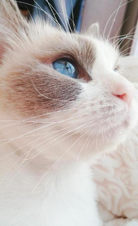 202!4年上市公司独董观察：中金公司、天山股份独立董事陆正飞薪酬共107.50万元 现任北大光华学院教授及博导