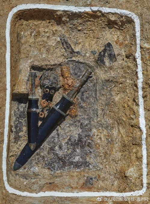 退市—不是终点，长江,健康领巨额罚单，受损投资者可维权！