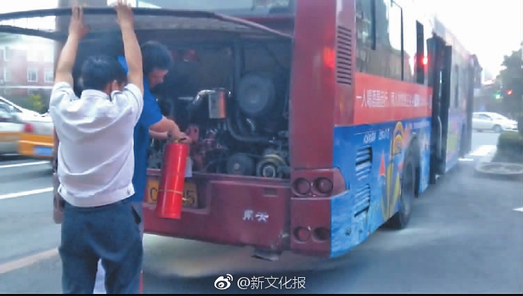 德克斯:户外公司报告;营收预测未达预期