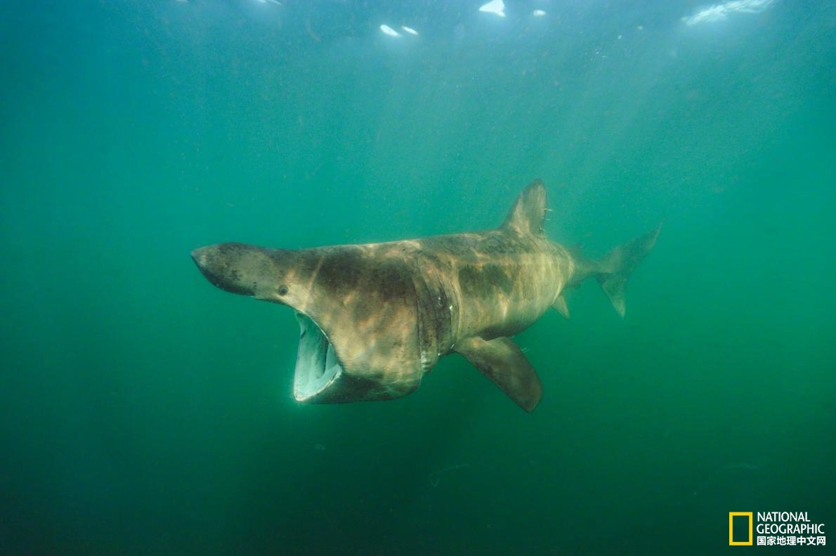 五<年>前买的基金回本了 | 棱镜