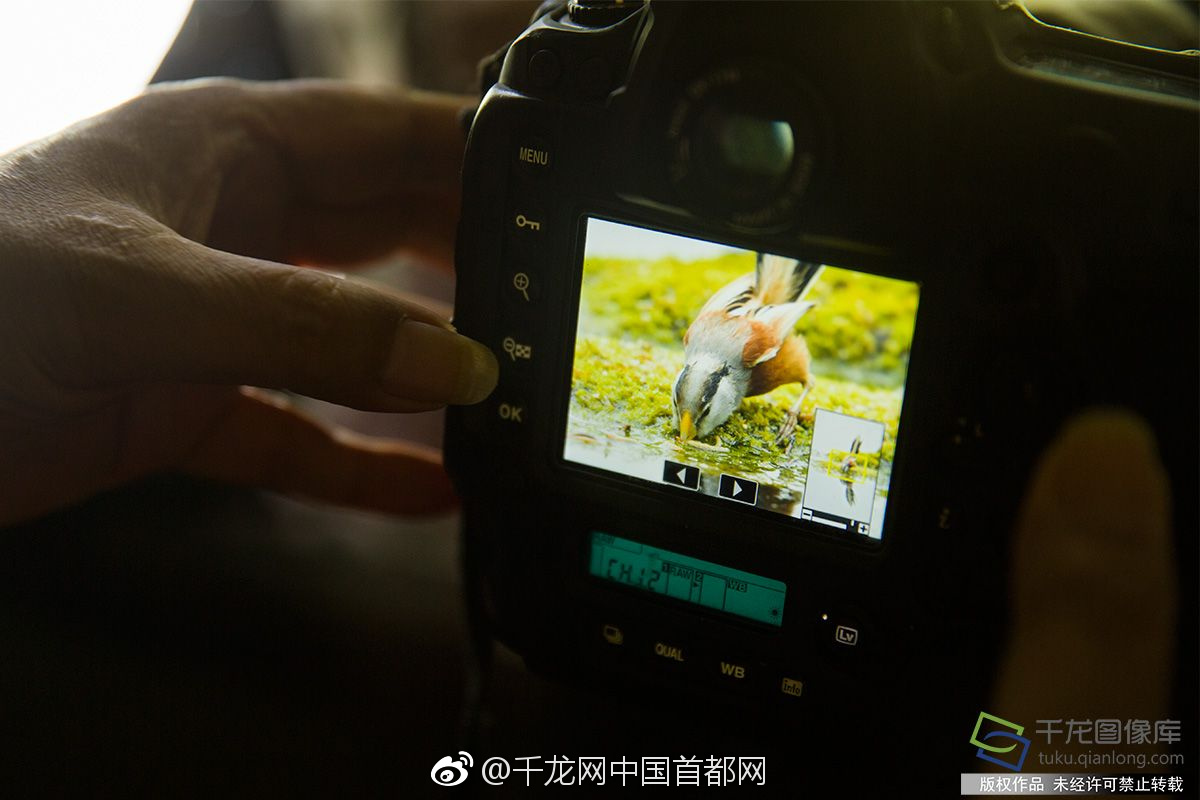 派<格>生物医药-B：基石投资者自愿延长禁售期