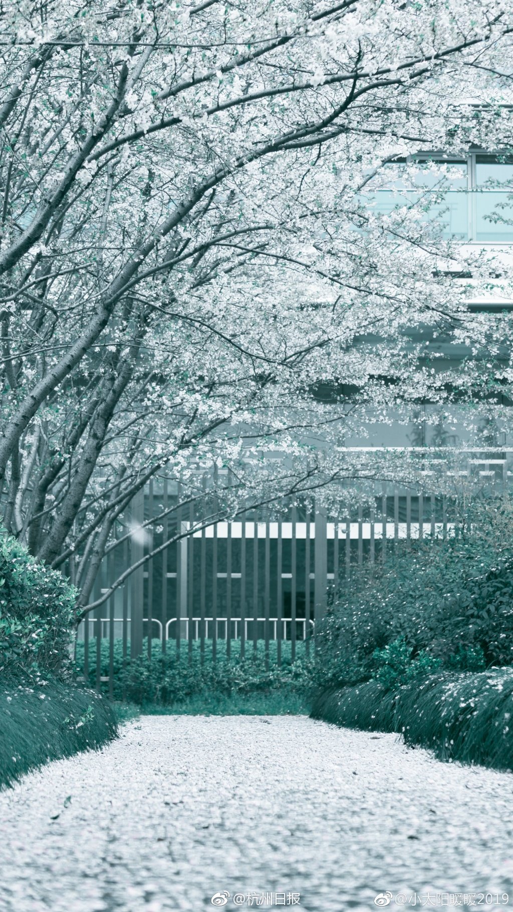 关于公示辖.内未在中国证券投资基金业协会登记/备案机构名单的公告