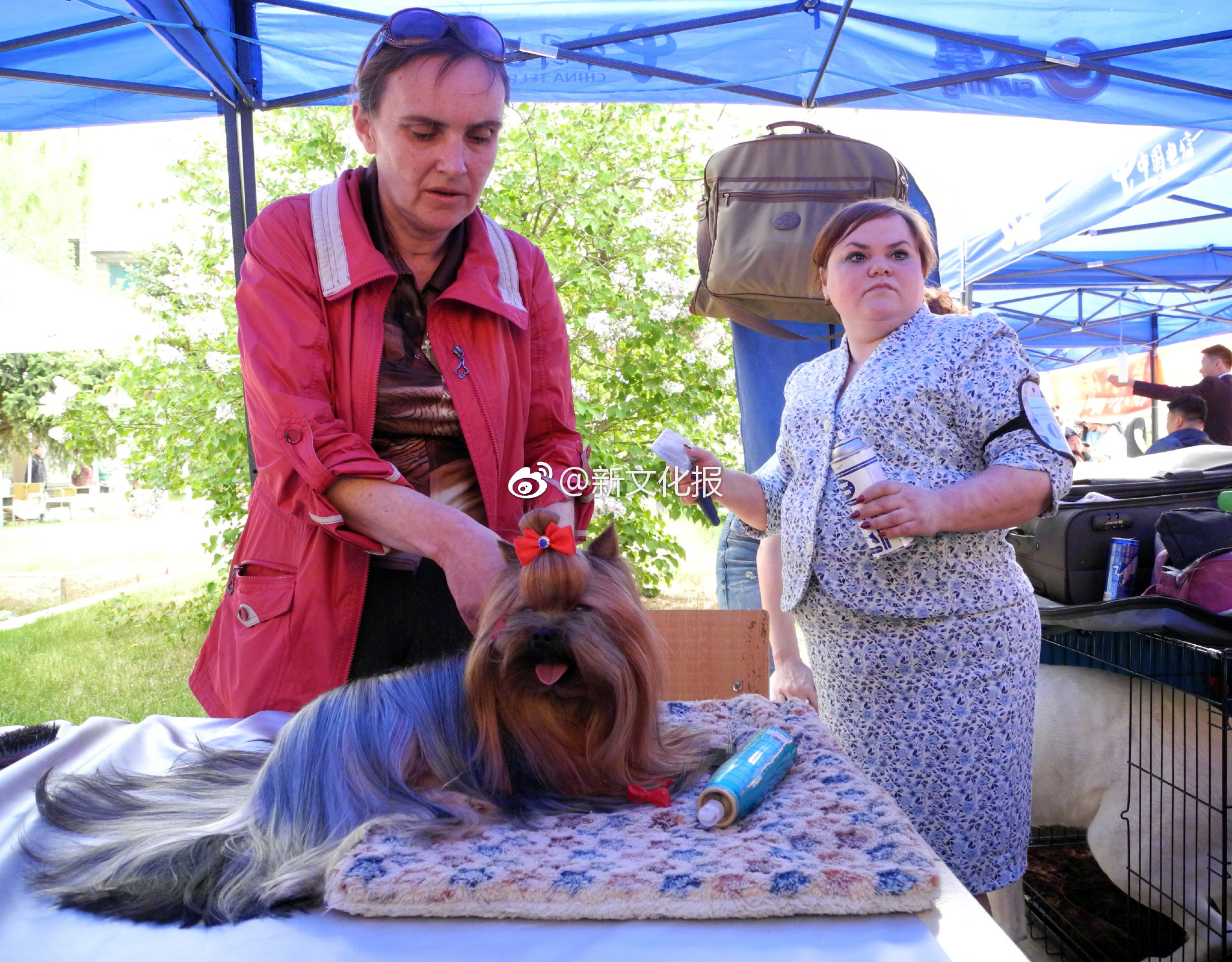 良信股份11,月,10日龙虎榜数据