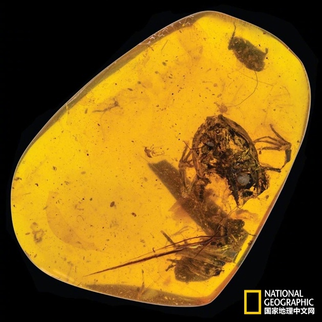 3.0股特大单净流入资金超2亿元