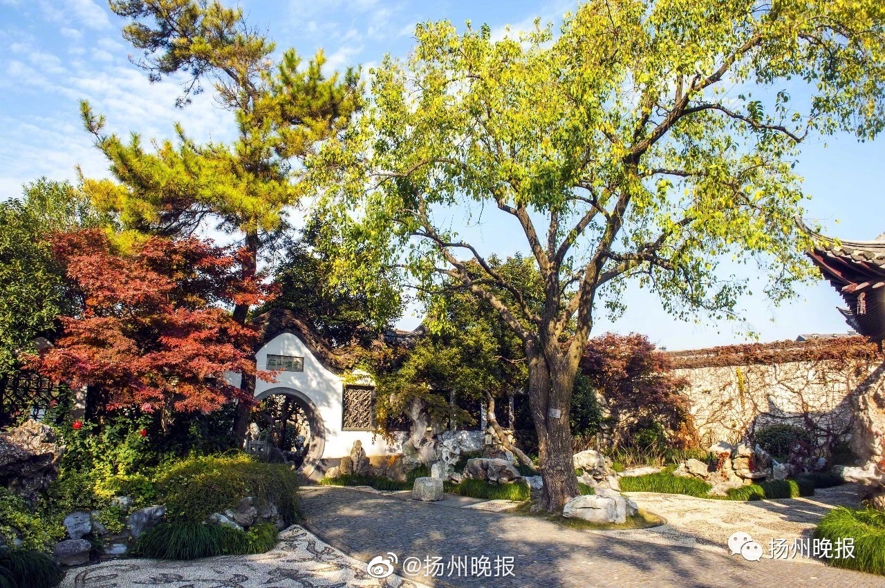 寒?武,纪尾盘短线拉升涨超2.5%