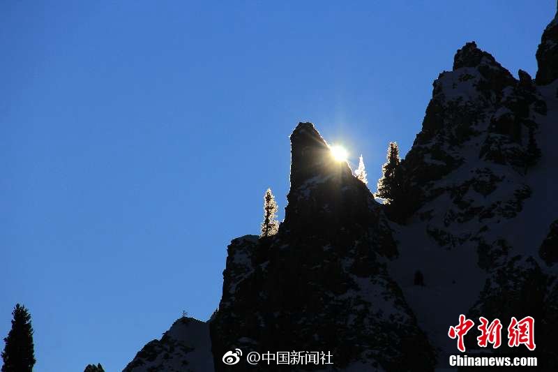 1.0<月>14日沪深两市强势个股与概念板块