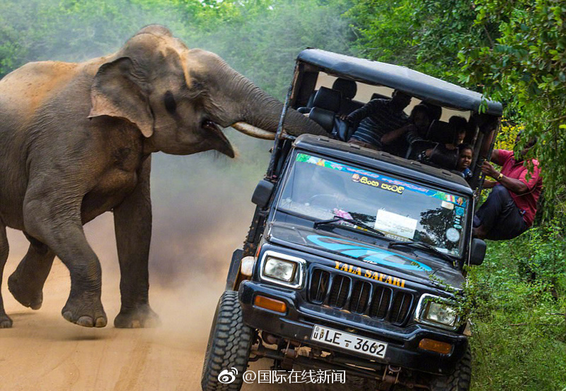 中‘际’旭创?成交额超100亿元，现涨1.91%