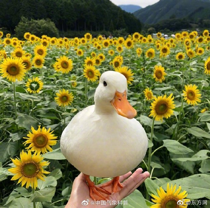 业绩;盈喜！利润最高预增5:0%，六福集团值得高看？