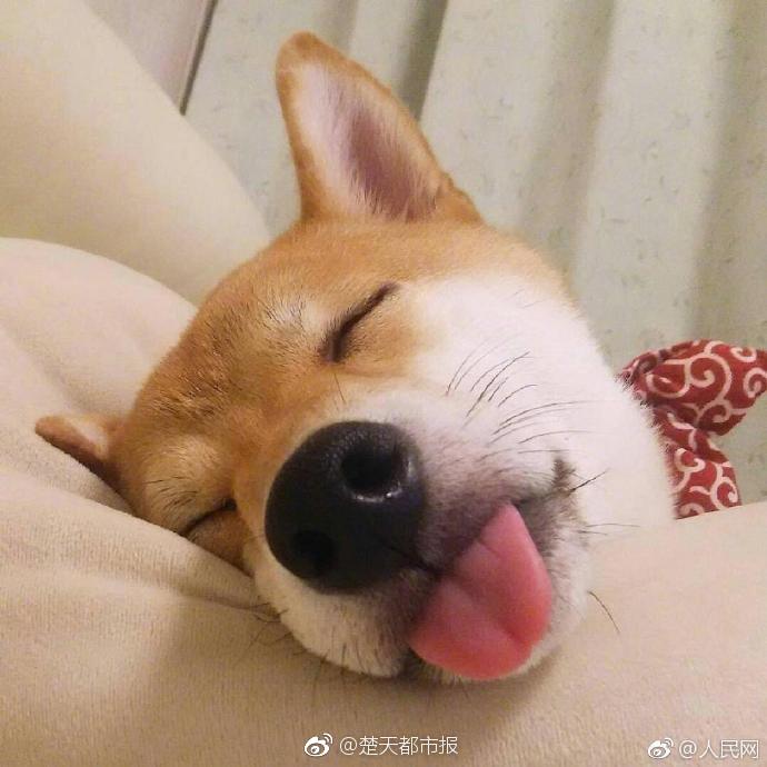 美元走‘强’压制金价！.美联储“变脸”杀机尽显？