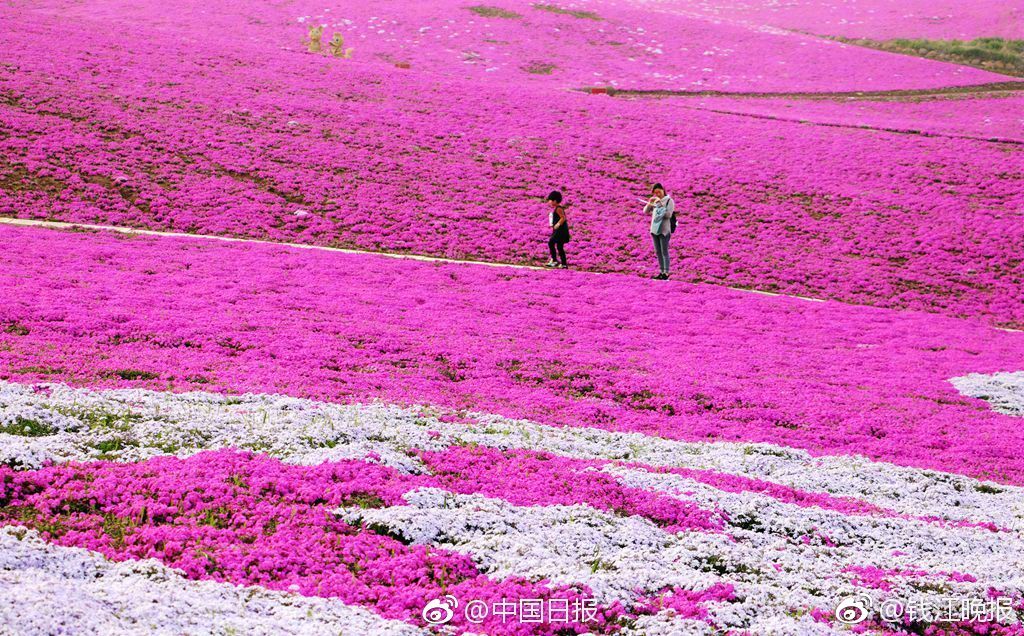李俊平从?互联网浪潮看中国AI破局：投资、应用与开源生态三重驱动