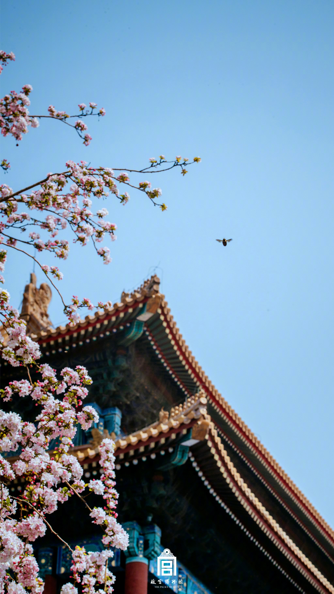 板块,异动 | 诺奖授?予量子物理学家 量子科技概念股盘中活跃