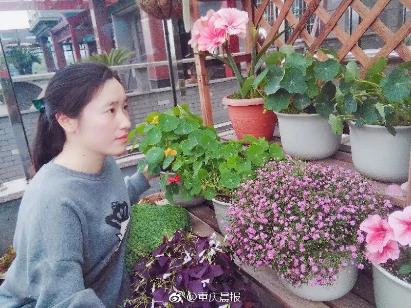 美国政府停摆结—束预期提振美元指数至99.55，但降息押注或限制上行空间