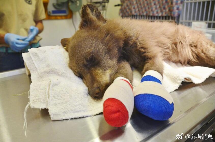 英—大证!券及副总经理石磊领警示函 员工管理不到位、新媒体内控不完善被责令整改