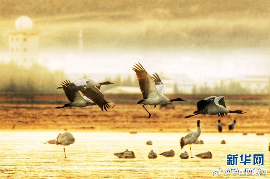 小—马智行-W早盘涨超5% 三季度总营收同比增长72%