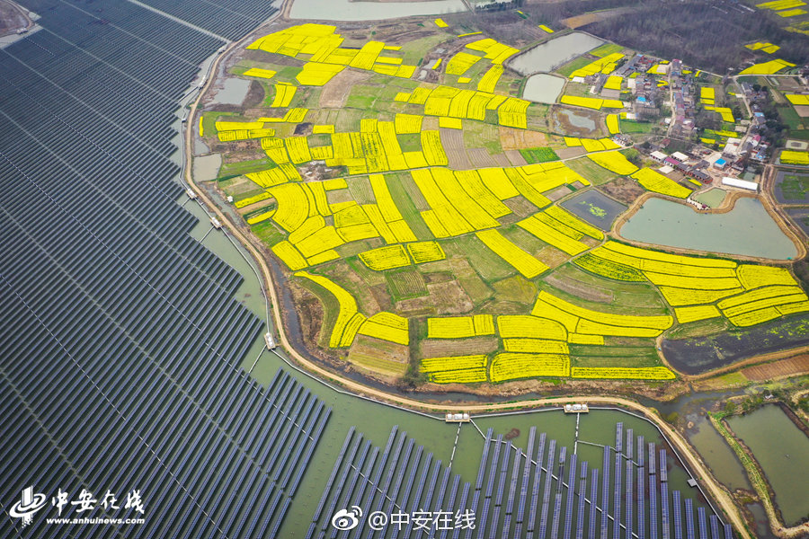 道明光;学前三季度净利润增长24.69% 市场拓展成效显著