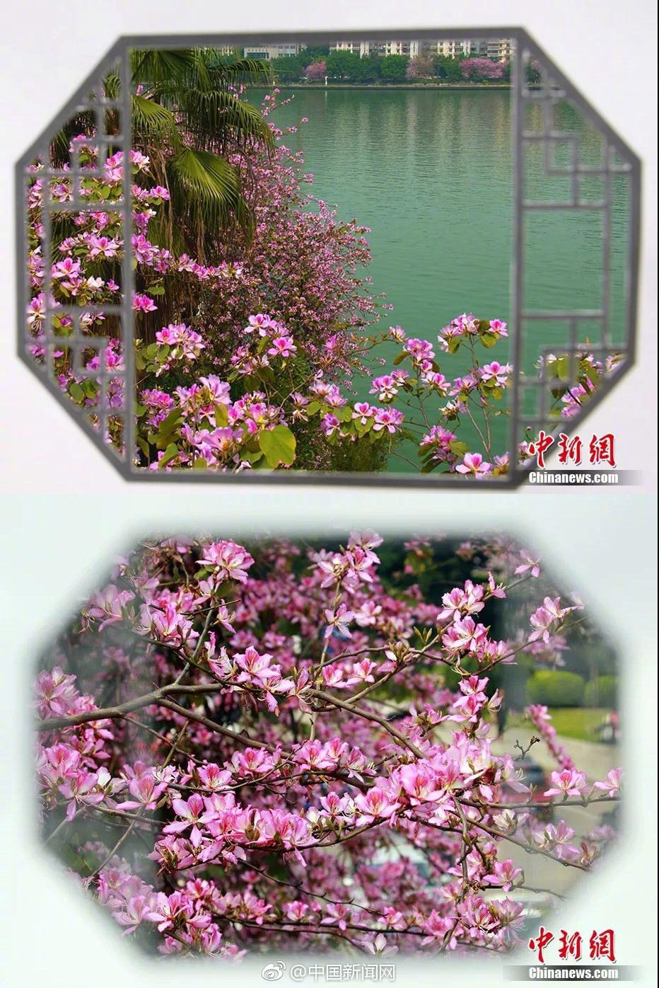 特朗普当着埃尔多安面说希望.土耳其停止购买俄罗斯石油