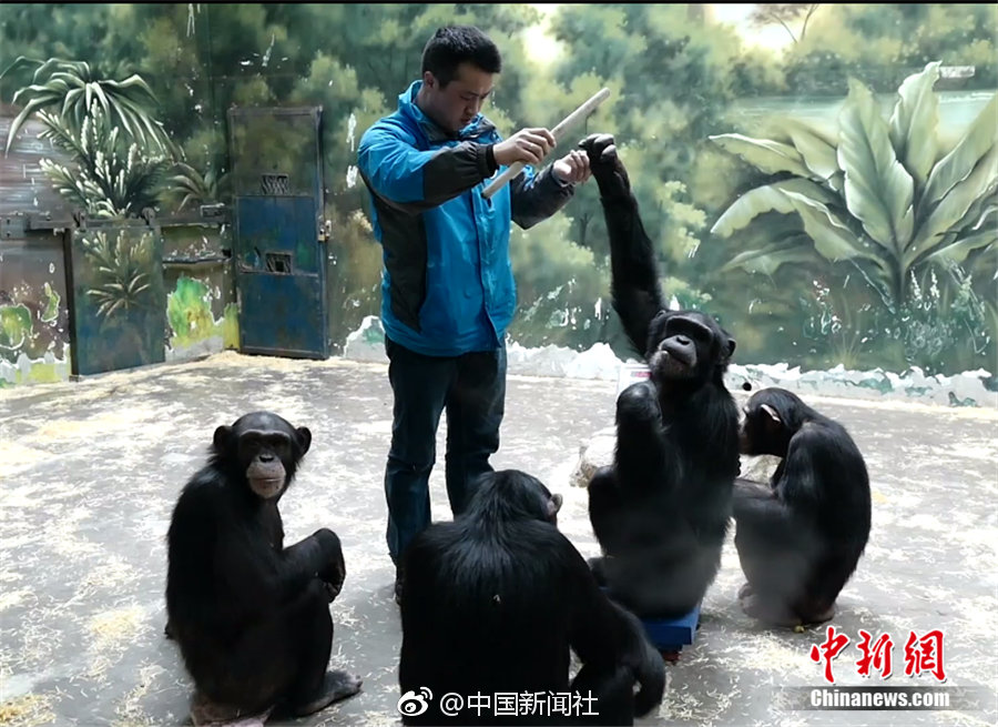 【民—生能源;】盘江股份2025年半年报点评：煤炭成本大幅下降，25Q2盈利环比扭亏