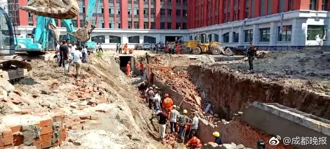 10家.科创板芯片设计企业扭亏为盈