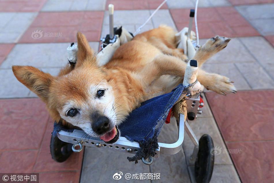 港股黄金<股>多数高开，紫金黄金国际涨超4%，现货黄金盘中再创历史新高