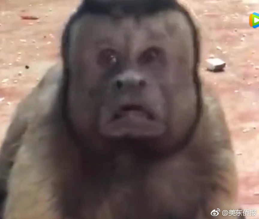 明<年>起须提供售后确认书！四部门新规严打零公里二手车