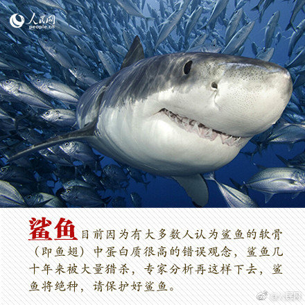 1,0月，印度黄金进口激增200%