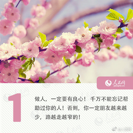 阿达!尼集团旗下股票大涨，印;度监管机构澄清兴登堡的部分指控