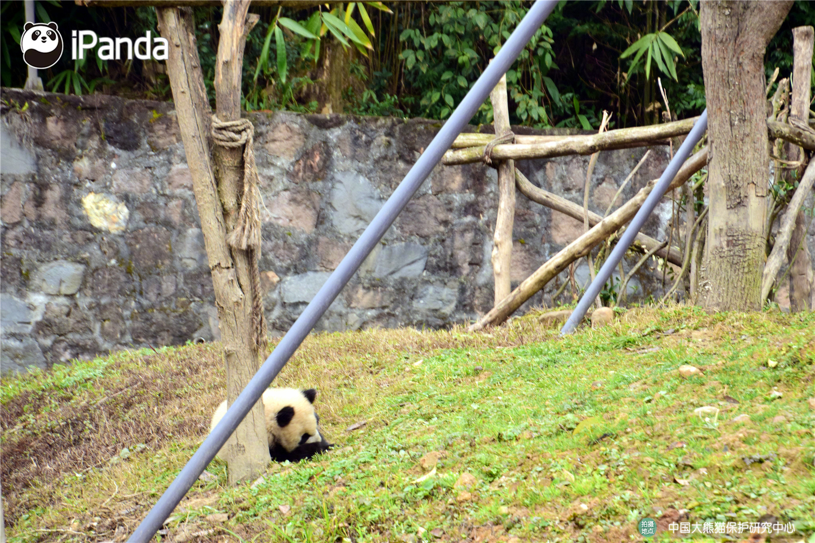 无锡的“强磁场?”