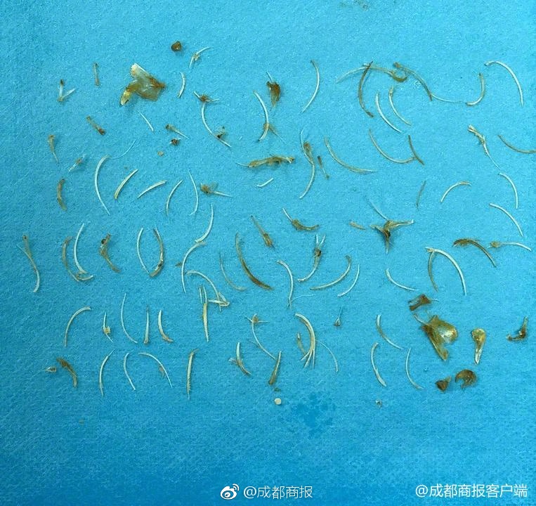 契合:养老金融核心需求 “东方证券-上银理财适老低波债券篮子”上线