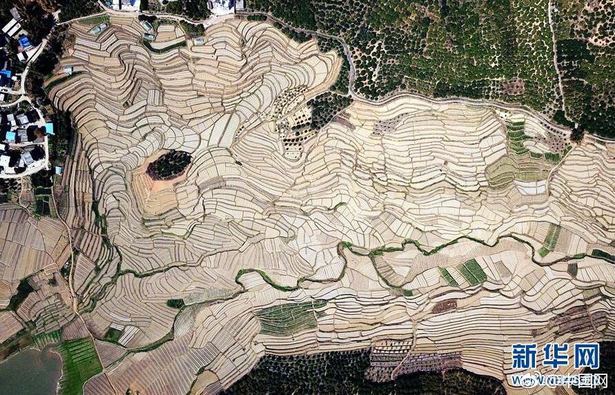 大商!股!份：董事长陈德力离任