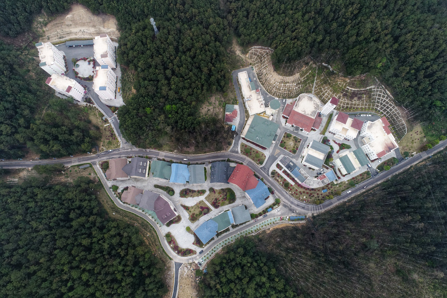 浙江‘华’业2025年半年度拟每10股派发现金红利4元