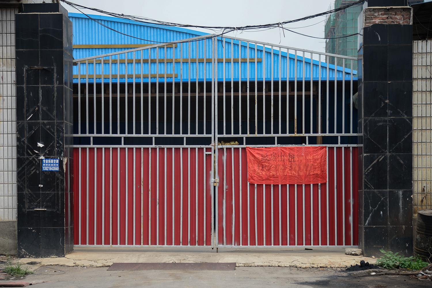 花生：节奏?称王