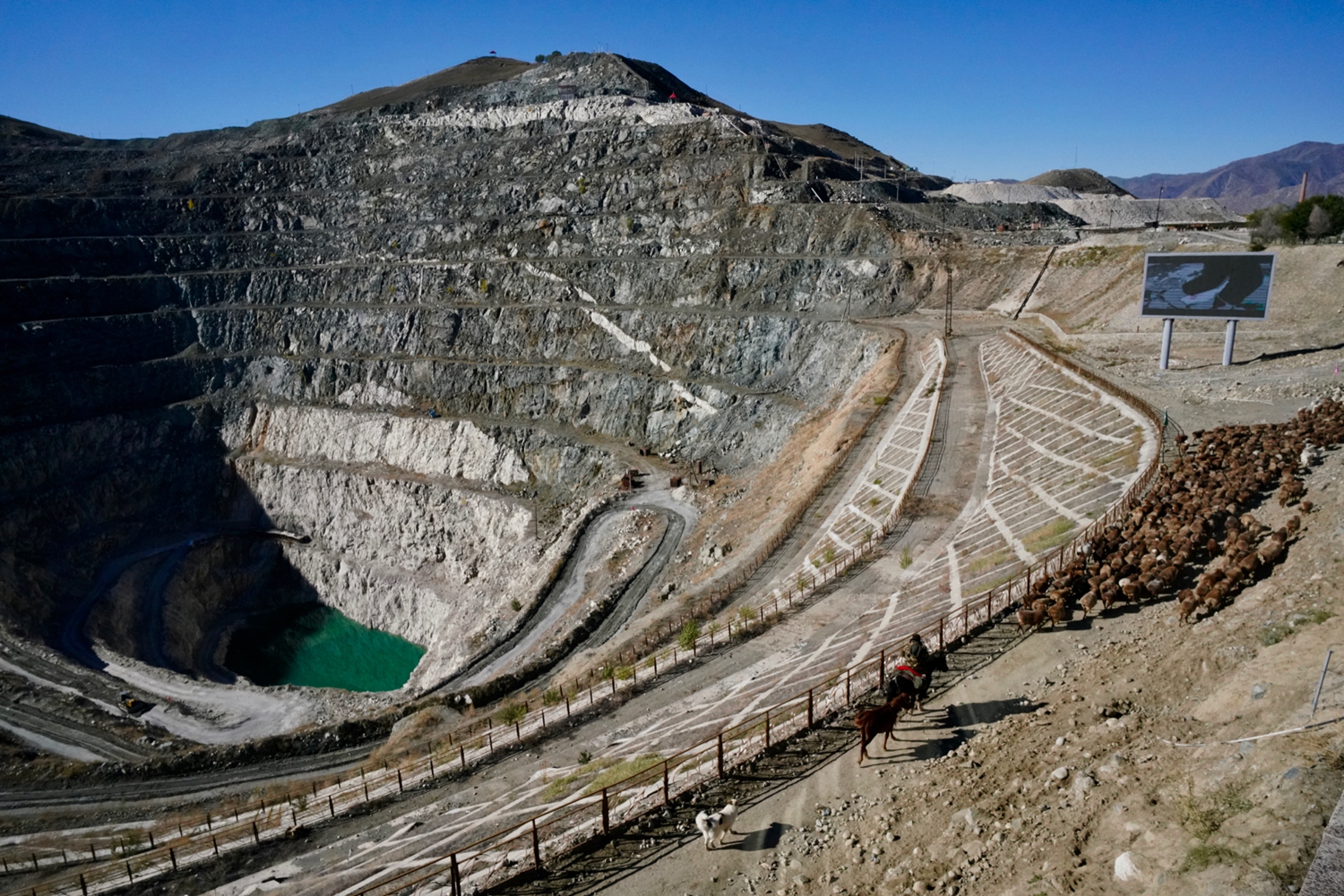 纯苯期?货和期权上市进入倒计时——芳烃产业链迎风险管理“组合拳”