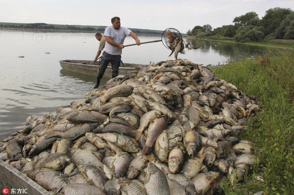 何宇<鑫>:非‘农’点燃降息预期 川普怒批数据作假